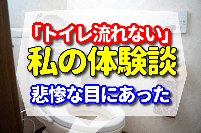 トイレ流れない　体験談